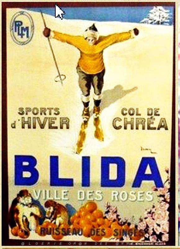 y- 002- Affiches rail AFN.jpg